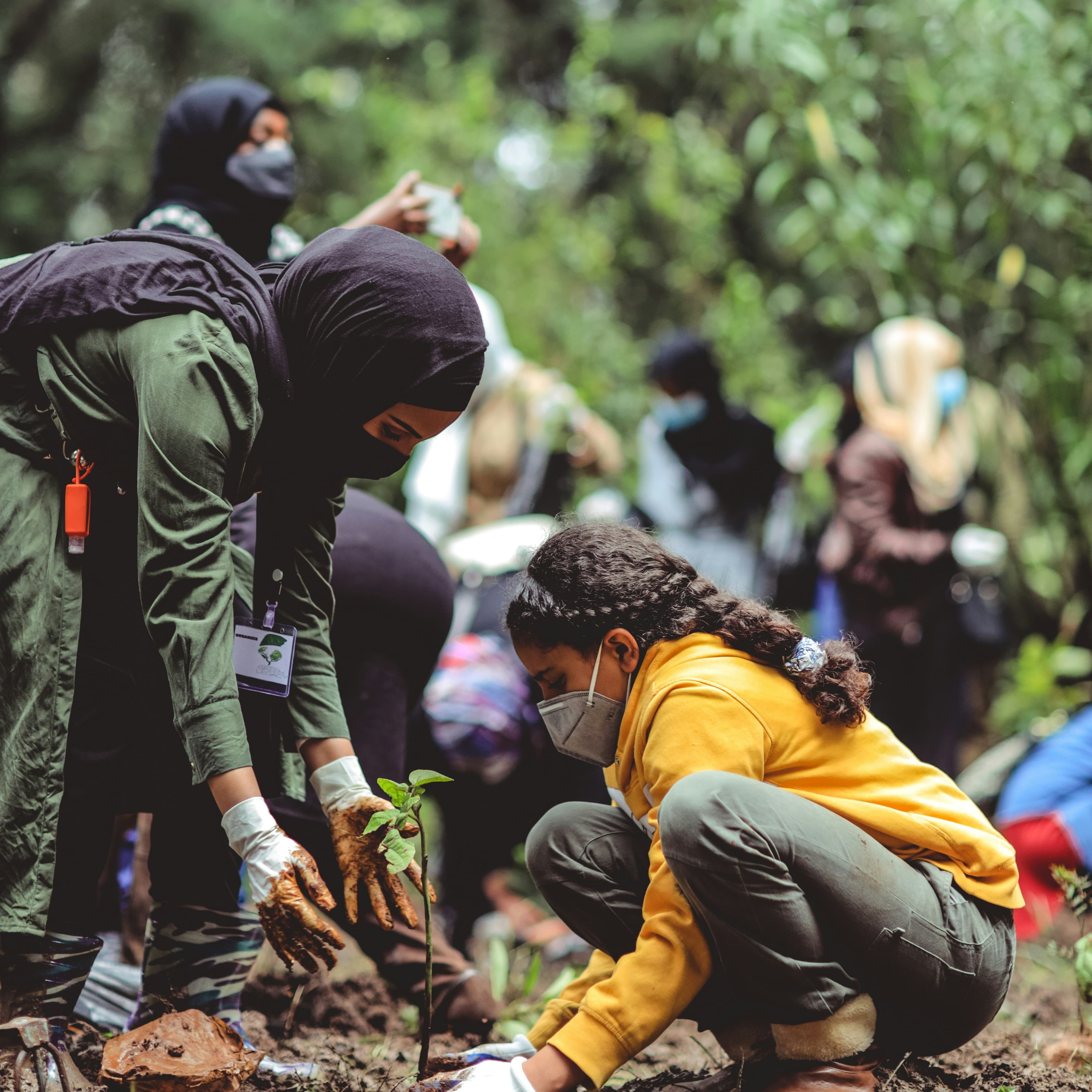 Volunteers working on an environmental service project